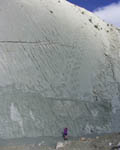 'Jingers!': Mitzi's man earns his nickname as he marvels at just a small part of Sucre's dinosaur footprints