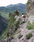 Fresh air on the Pisac medal section