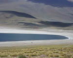 Laguna de Miscanti, one of the lakes on the 4x4 loop - that?s a blue pick-up on the shore