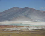 Mitzi is dwarfed by the scenery at Tuyajto soda lake