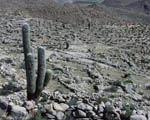 Santa Rosa de Tastil pre-Inca city